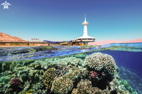 A The Underwater Observatory Marine Park