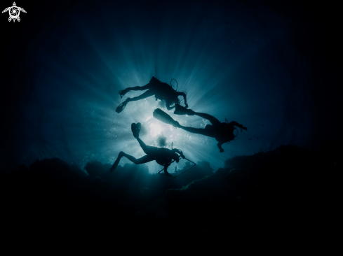 A Core Sea Crew conducting Biodiversity survey