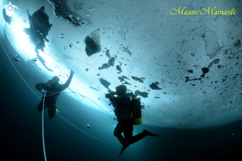 A Ice dive Anterselva lake