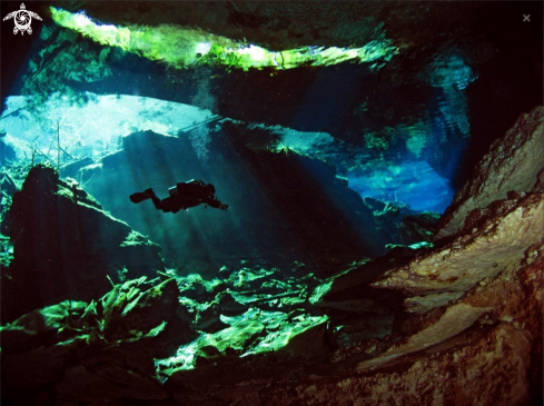 A Cenote Chac Mool ,  Mexico