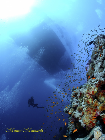 A The reef and the boat