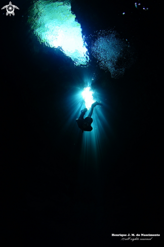 A ---------------- | Cenote - México