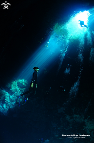 A ---------------- | Cenote - México