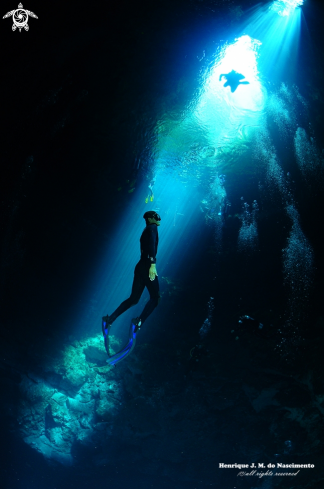 A Cenote - México