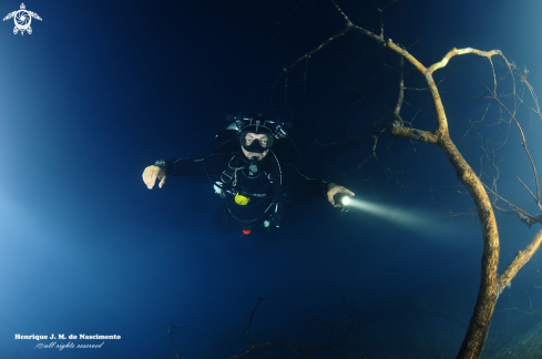 A Cenote