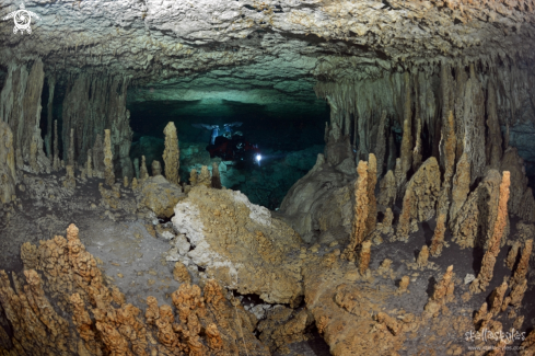 A Speleothems in Car Wash cave, Mexico