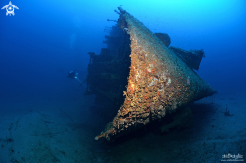 A WWII wreck, lying at 57 meters depth