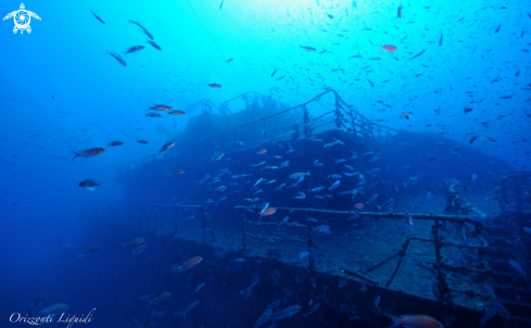 A The wreck of Milford Haven | Milford Haven