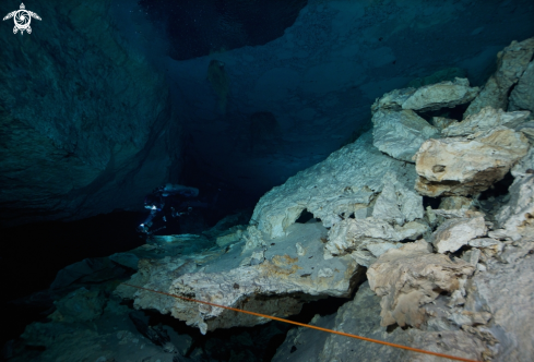 A Cenote Chikin Ha | Cenote