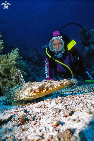 A Papilloculiceps longiceps | Pesce coccodrillo