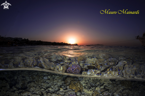 A Sunrise to Sharks bay