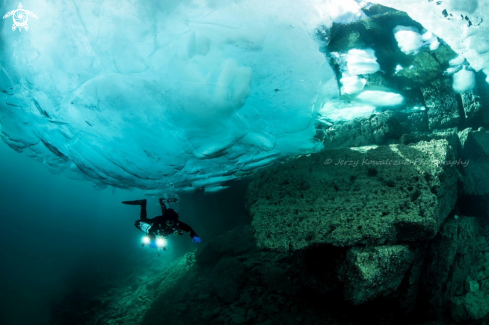 A Shore Diving