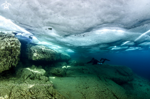 A Shore Diving