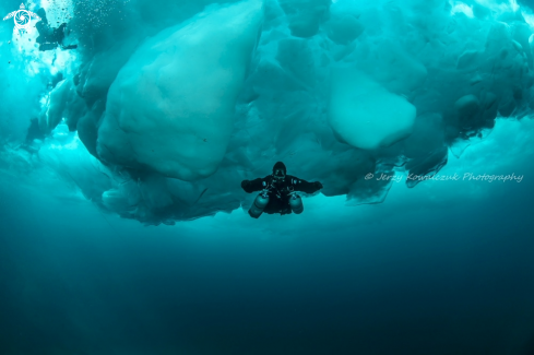 A Shore Diving