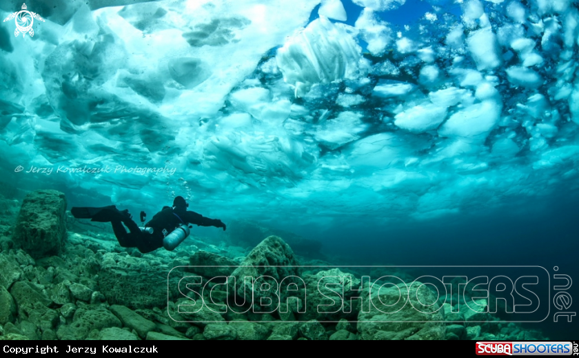 A Shore Diving
