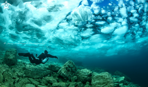 A Shore Diving