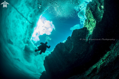 A Ice Diving