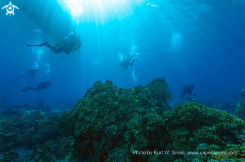 A Banda Sea