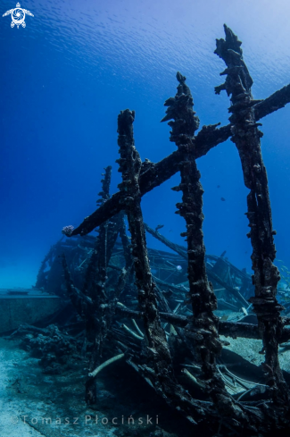 A Underwater Life