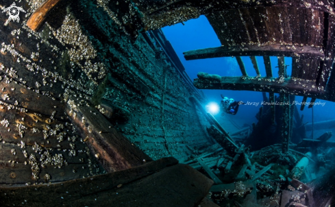 A Under ice & Spring Diving