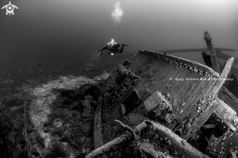 A Under ice & Spring Diving