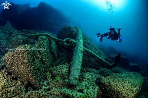 A Under ice & Spring Diving