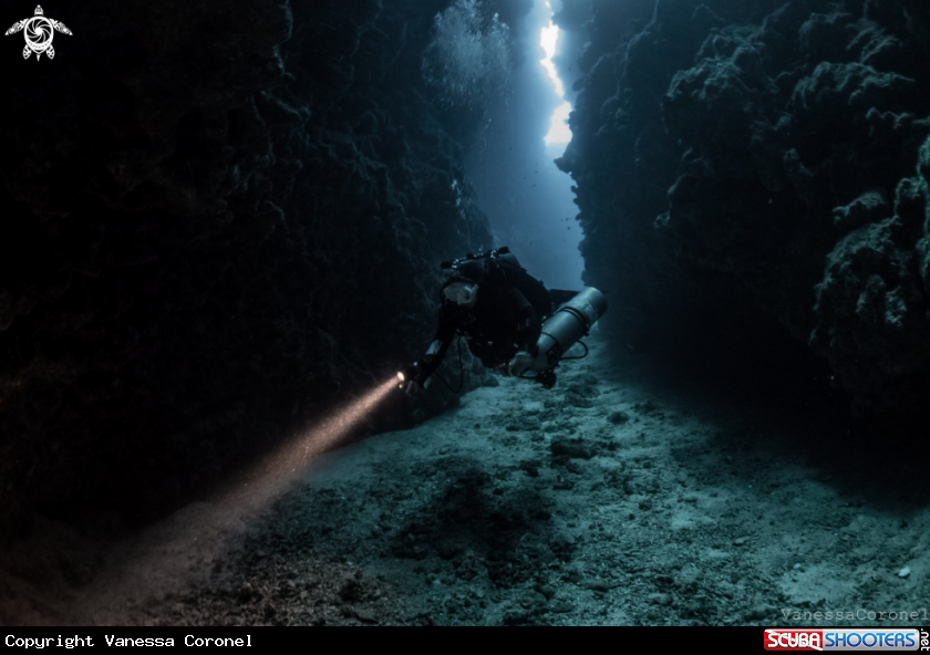 A Full Canyon Dive at 55m 