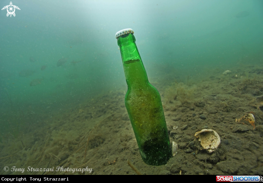 A Full unopened beer found in 4.5 metres