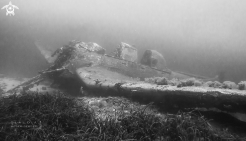 A Stuka bomber