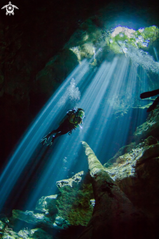 A Cenote