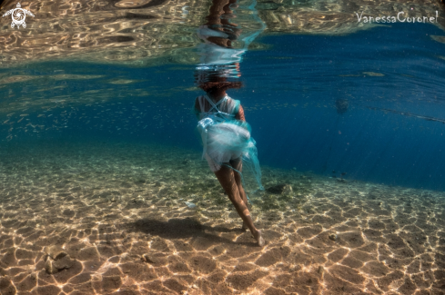 A free- freediving