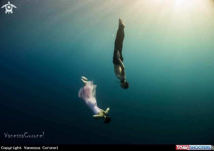 A free- freediving