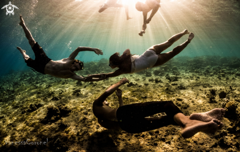 A free- freediving