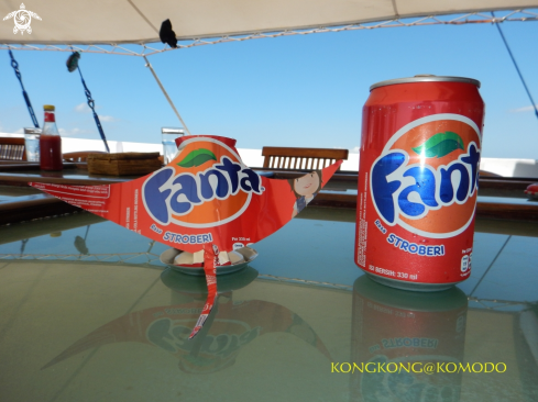 A Fanta Ray