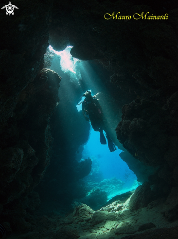 A Jackfish alley caves(Ras Mohammed)