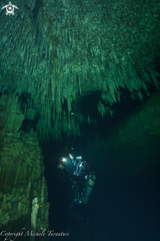 A Cenote