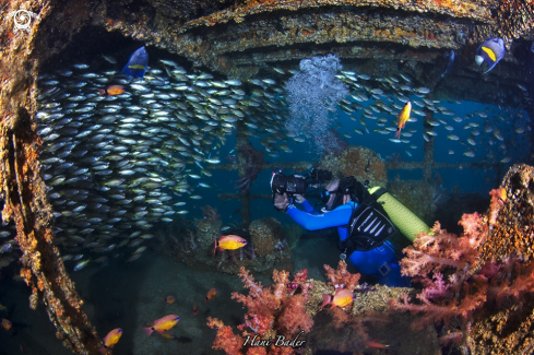 A Al Munassir Wreck