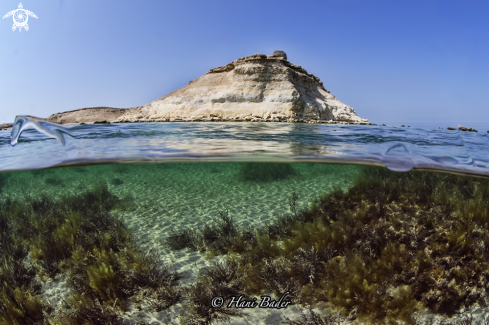 A Hawar island