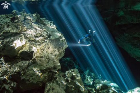 A Diver inside light beams