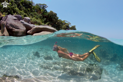 A Snorkeling in Similan isnads