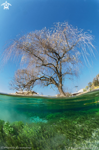 A Il lago di posta Fibreno