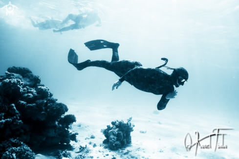 A freediver