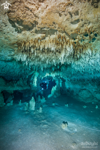 A Speleothems