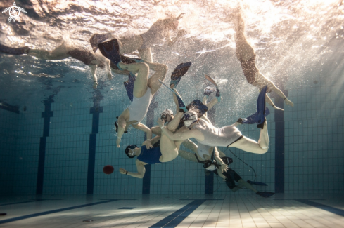 A Homo sapiens | Underwater rugby