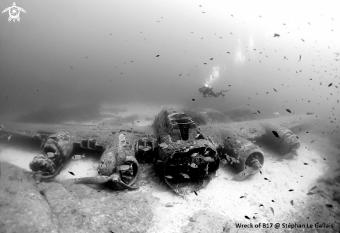 A Wreck Of B17