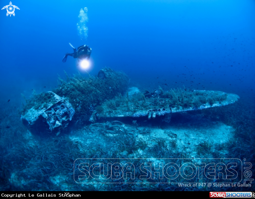 A Wreck Of P47
