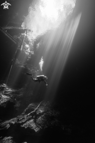 A Cenote