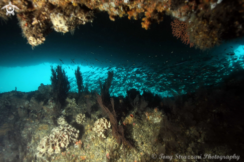 A The Temple Cave