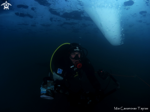 A ice diving