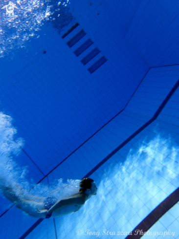 A Springboard diver